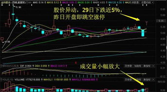 中信重工与掌趣科技逆市上涨，今日重点关注这三只互联网概念股